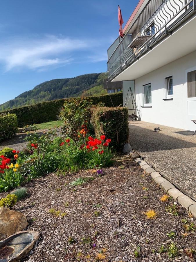 Fewo Moselblick Traben-Trarbach Exteriör bild